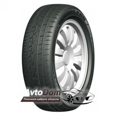 Habilead IceMax RW505 215/45 R17 91V XL