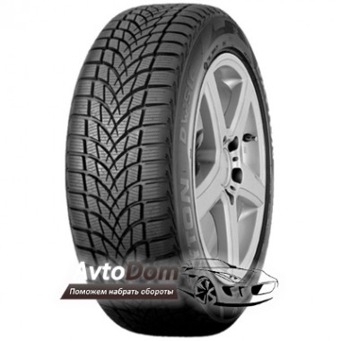 Dayton DW 510 195/55 R16 87H