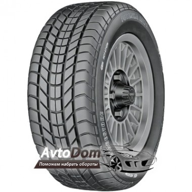 Bridgestone Potenza RE71 205/60 R15 99Y