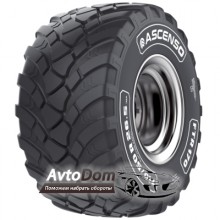 Ascenso FTR 170 (с/г) 560/60 R22.5 165D