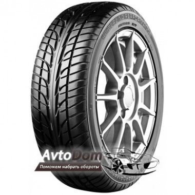 Seiberling Performance 205/45 R16 83W