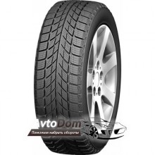 Doublestar WINTERKING DW09 235/55 R17 99T