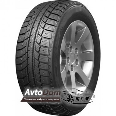 Doublestar WINTERKING DW07 205/70 R15 96T